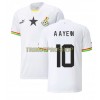 Original Fußballtrikot Ghana Andre Ayew 10 Heimtrikot WM 2022 Für Herren